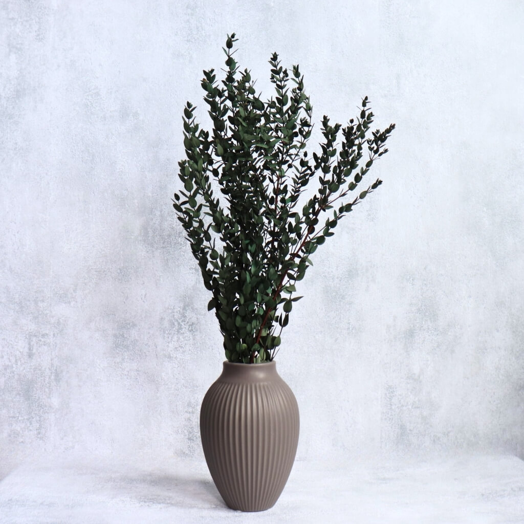 Stabilizovaný Eucalyptus Parvifoglia zelený – přírodní dekorace, ideální pro aranžování květin a interiérový design